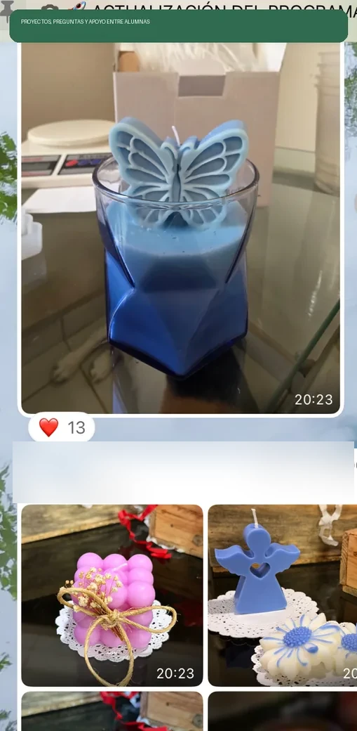 Captura anonimizada de diversos proyectos de velas compartidos en una comunidad