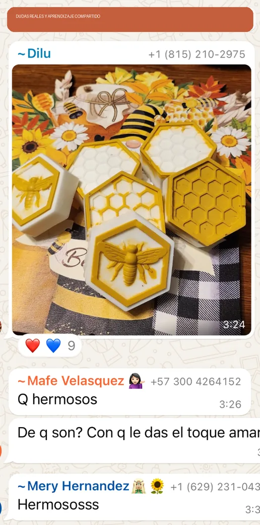 Proyecto de jabones con diseño de panal y abejas compartido en una comunidad de aprendizaje